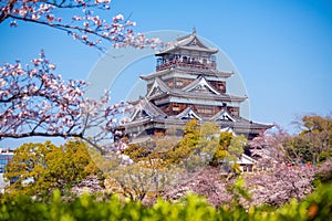 Hiroshima Castle During Cherry Blossom Season