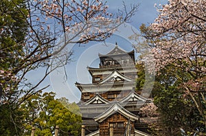 Hiroshima castle in Japan during cherry blossoms