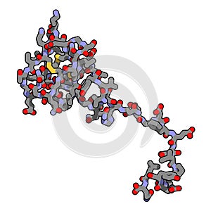 Hirudin protein molecule. Anticoagulant protein from leeches that prevents blood clotting by inhibiting thrombin. Topically used