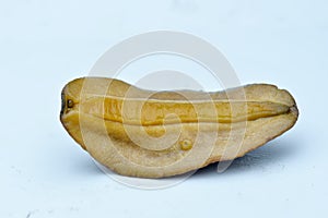 Hirudinea on white background