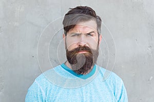 His beard and a haircut are styled. Bearded man wearing stylish mustache and beard shape. Unshaven hipster with textured