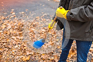 His father`s hands in yellow gloves sweeps away leaves in the autumn park