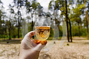 in his hand a wine glass with cider-Aperol in the sunlight against a background of green forest. Copy space