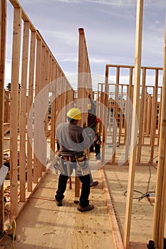 Hispanic carpenters setting a wall