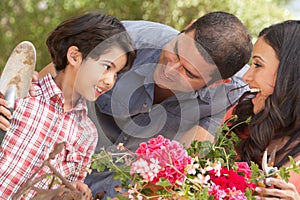 Hispanic Family Working In Garden Tidying Pots