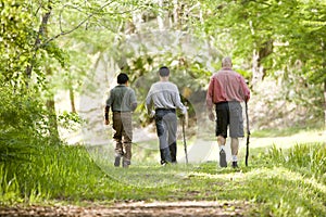 Hispanic father and sons hiking on trail in woods