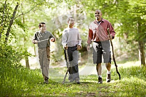 Hispanic father and sons hiking on trail in woods