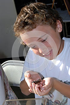 Hissing cockroach in hand