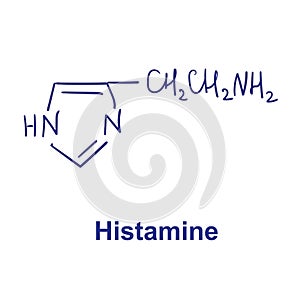 Histamine chemical structure. Vector illustration Hand drawn. photo