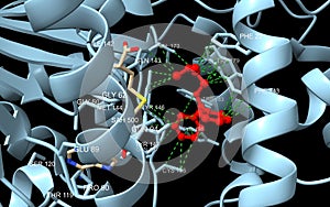 Histamine methyltransferase complexed with the antihistamine drug diphenhydramine (red) photo
