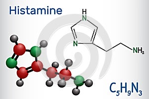 Histamine molecule. It is amine, nitrogenous compound, stimulant of gastric secretion, vasodilator, and centrally acting photo