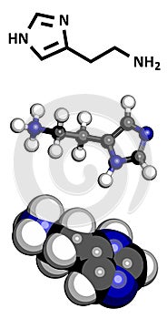 Histamine neurotransmitter, molecular model