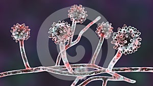 Histoplasma capsulatum fungus, 3D illustration photo