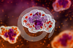 Histoplasma capsulatum fungus inside a macrophage cell, 3D illustration photo