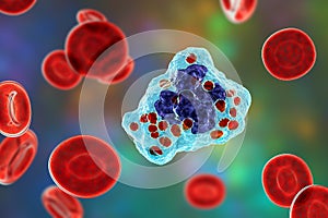 Histoplasma capsulatum fungus inside a macrophage cell, 3D illustration photo