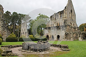 Historic abbey ruins