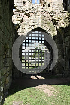 Historic abbey ruins