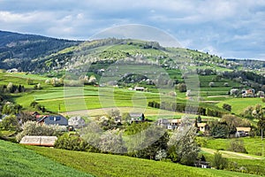 Historic agrarian landscape, Hrinovske lazy, Slovakia