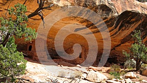 Historic Anasazi Cliff Dwelling