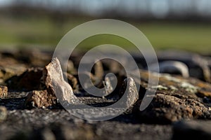 Historic archeologic outdoors excavated site