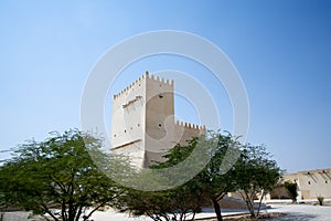 Historic Barzan Towers