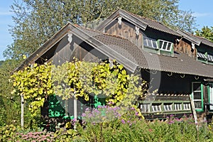 A historic beeyard in South Bavaria