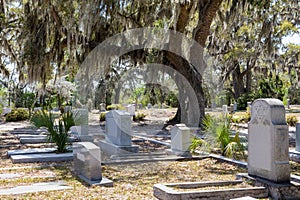 Historic Bonaventure Cemetery