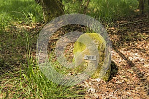 Historic boundary stone Germany Netherlands