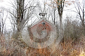 Historic brick building in overgrown brush visible in winter NYS FingerLakes