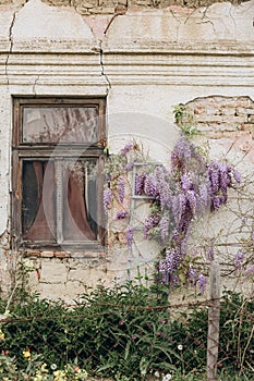 Historic building architecture texture old arch terrace