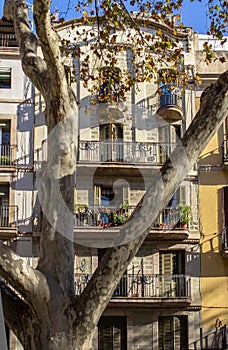 Historic Building in Barcelona on la Rambla