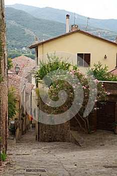 Historic buildings of Castiglion Fiorentino, Tuscany, Italy