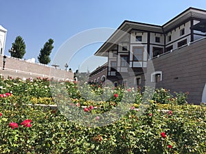 Historic Bursa house. Image of house in the Bursa district. Rose garden and old building.