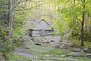 Historic cabin