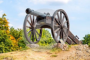 Historic cannon on a medieval castle hill in Swietokrzyskie Mountains in Poland