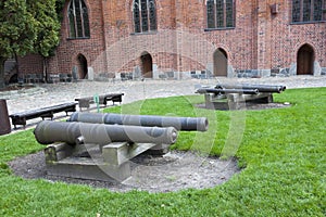 Historic Cannons Marys Castle Malbork photo