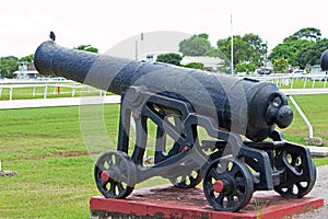 Historic Canon at the Garrison Savannah in Barbados