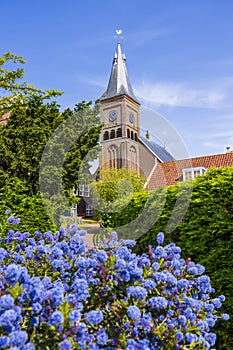 Historic church in Marken village in the Netherlands with flower bloom in spring time photo