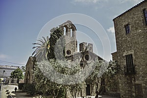 Historic church of Sant Pau del Camp, Barcelona. photo