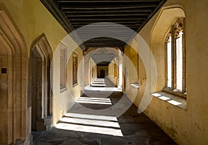 Cloisters, also known as the Great Quad, at Magdalen College, University of Oxford UK. Sunlight pours in through arched windows.
