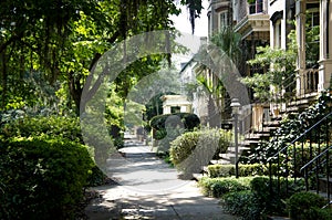 Historic district sidewalks, rowhouses and oak trees in Savannah, Georgia, USA