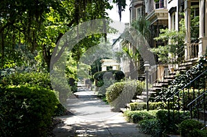 Historic district sidewalks, rowhouses and oak trees in Savannah, Georgia, USA photo