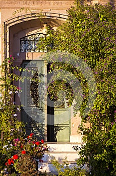 A Historic Door with Flowers