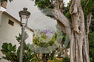 Historic downtown in Icod de los Vinos on Tenerife,.