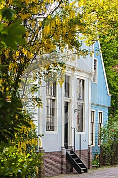 Historic Dutch houses in the village Broek in Waterland