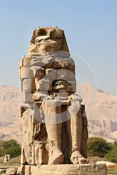 Historic Egyptian ancient statue in Luxor