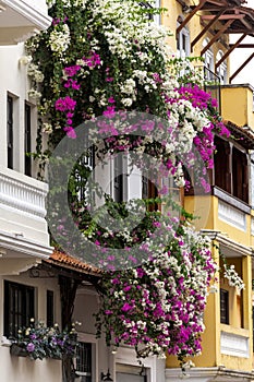 The historic facades at old town known as Casco Viejo in Panama City