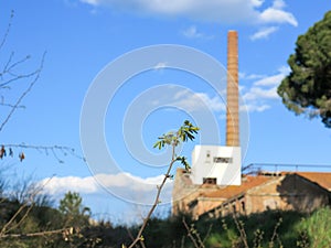 fabbrica storica a Cecina in stato fatiscente photo