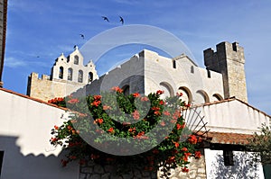 Historic French church