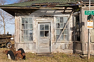 Historic grain elevator
